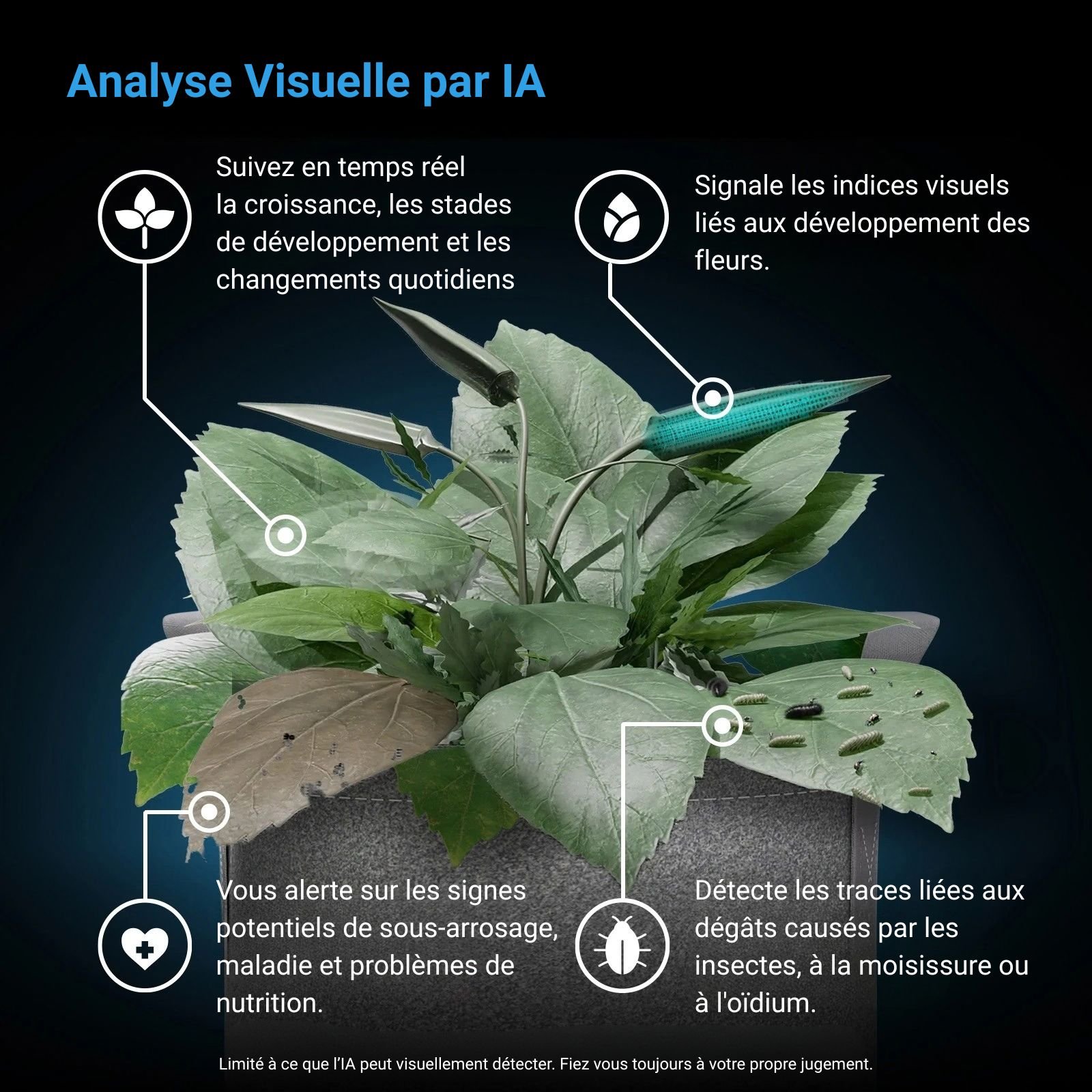 AC INFINITY SPECTRON 3, Caméra 4K avec Analyse par IA, Suivi Avancé de la Santé et de la Croissance des Plantes – Image 5